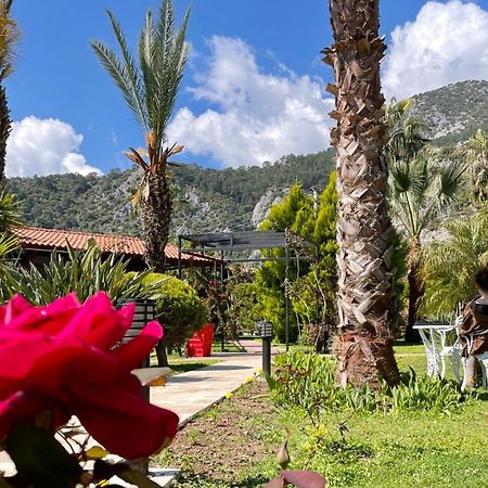 Aida Hotel Çıralı Eksteriør billede
