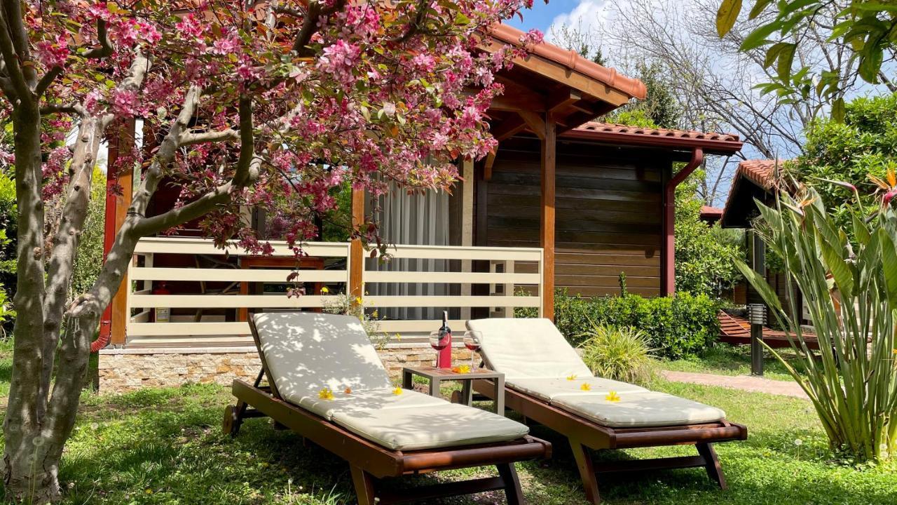 Aida Hotel Çıralı Eksteriør billede