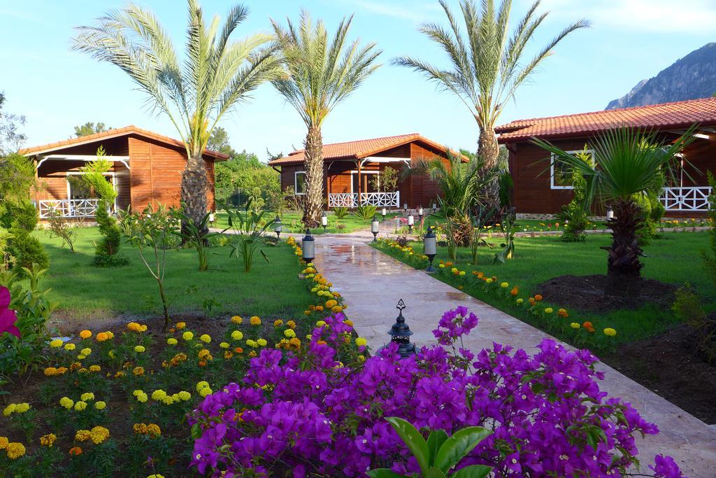 Aida Hotel Çıralı Værelse billede