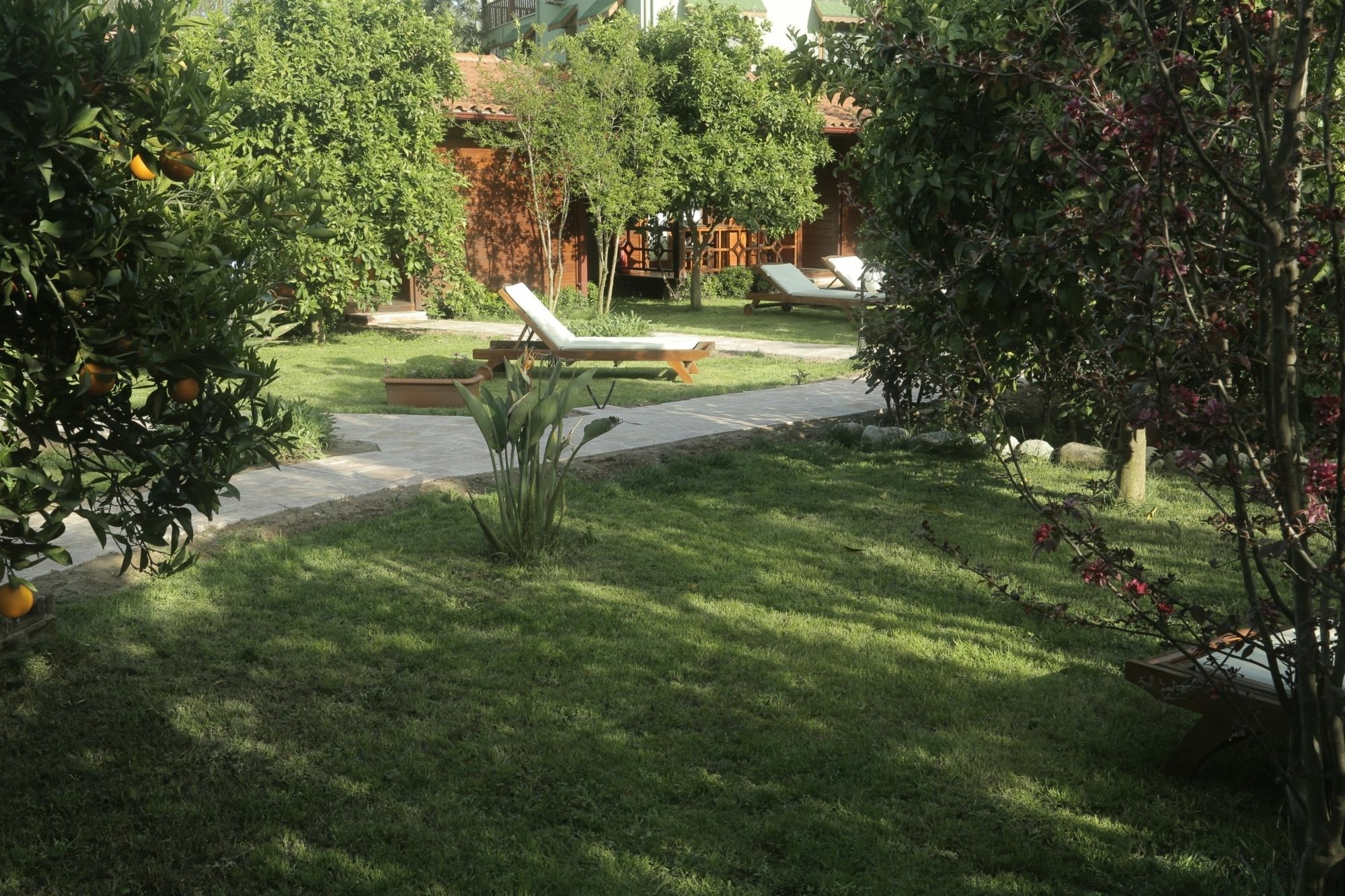 Aida Hotel Çıralı Eksteriør billede